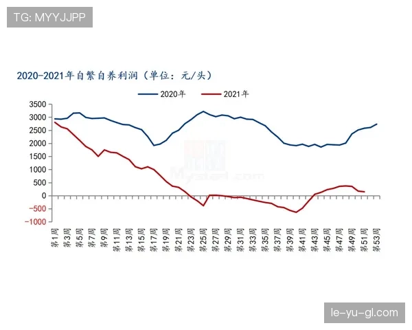 维尼修斯市场价值再创新高，状态回暖引多方关注