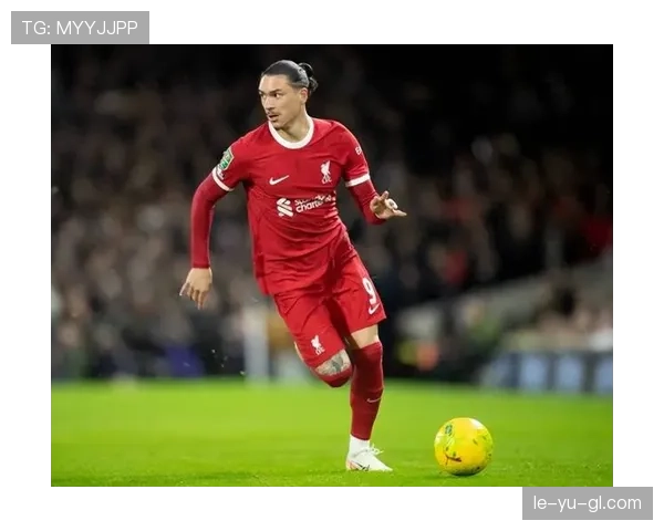 努涅斯本菲卡时期数据含金量如何体现 努涅斯本菲卡时期数据含金量如何体现